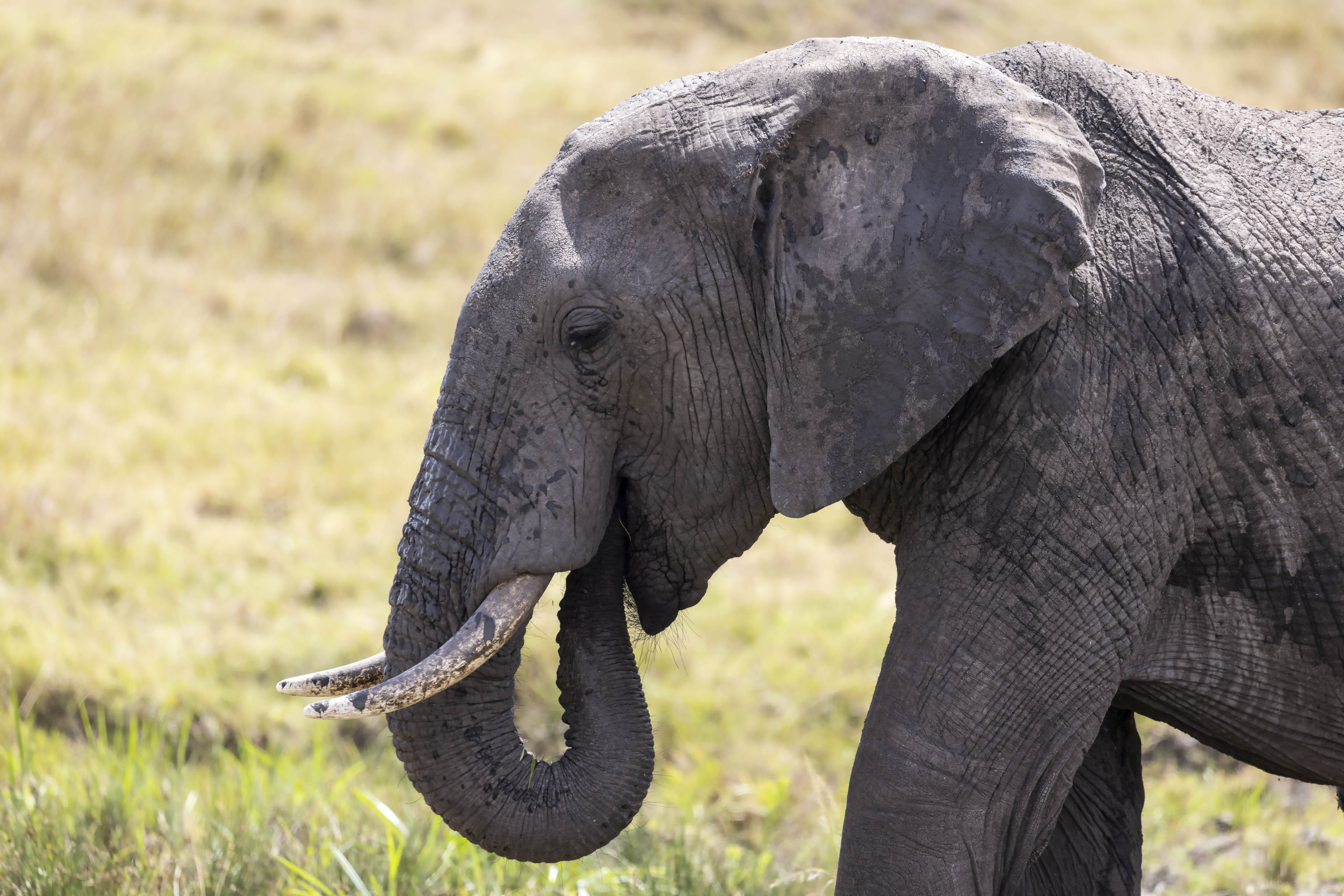 November 10, 2022-105453-3-Edit.jpg